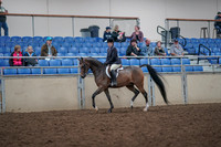 Class 112 - Arabian Hunter Pl Open