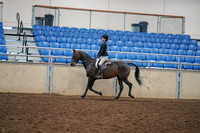 2019 Morgan Horse Show - Aug 30, 2019 - 12138