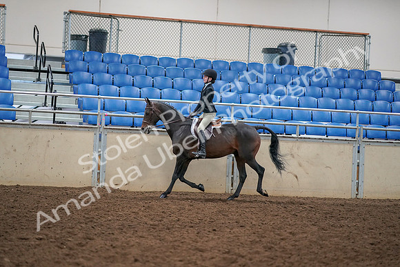 2019 Morgan Horse Show - Aug 30, 2019 - 12138