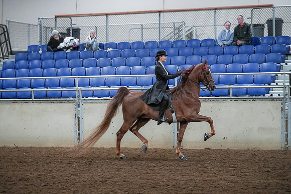 Spring Fling - Saturday - April 20, 2019  -  00560