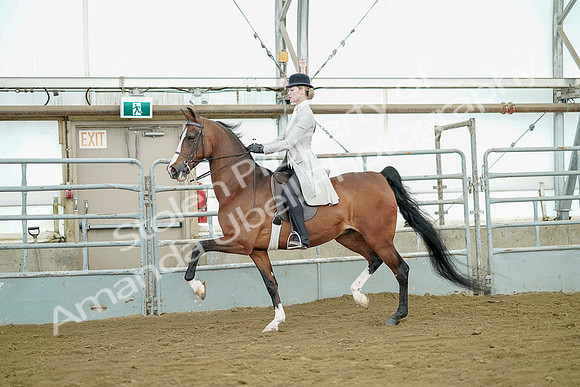July 20, 2019 - 07781