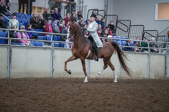 Spring Fling - Saturday - April 20, 2019  -  00450