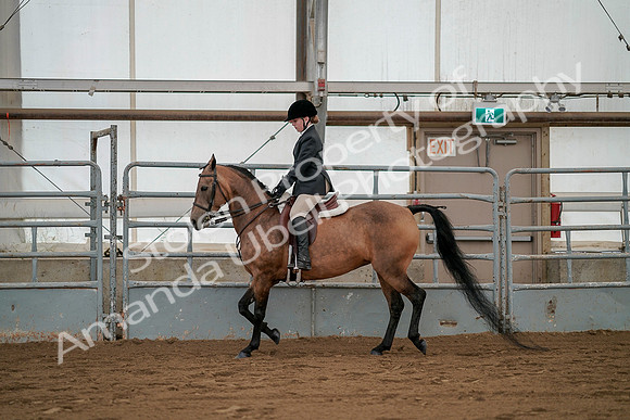 July 19, 2019 - 2548
