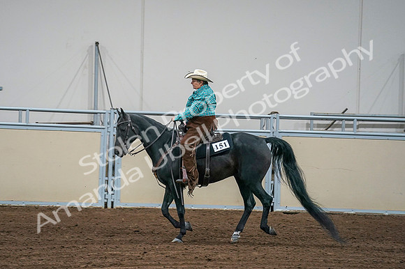 2020 - AB Morgan Horse - Fri, Sept 04 - 00603