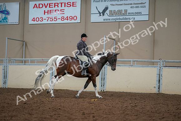 2019 Morgan Horse Show - Aug 30, 2019 - 22510