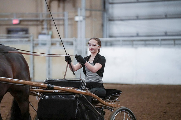 Spring Fling - Saturday - April 20, 2019  -  00315