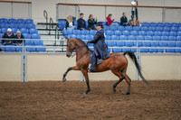 2020 - AB Morgan Horse - Sat, Sept 05 - 09704