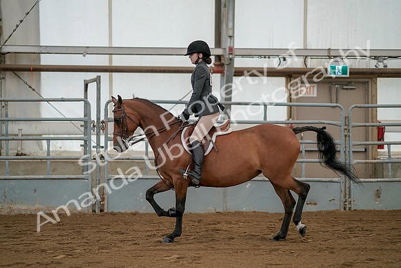 July 19, 2019 - 2531
