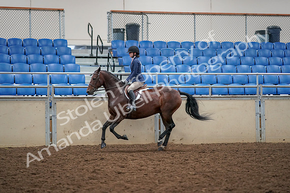 2019 Morgan Horse Show - Aug 30, 2019 - 23469