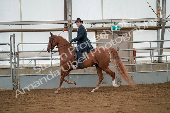 July 20, 2019 - 02104