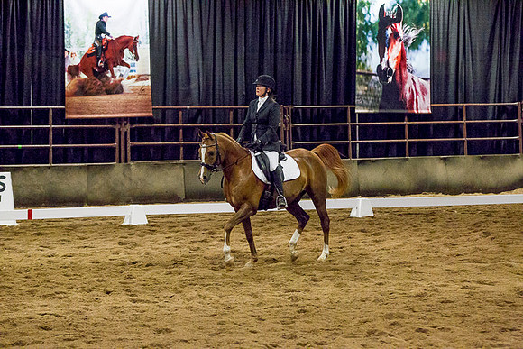 _P3A4236