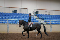 2019 Morgan Horse Show - Aug 30, 2019 - 12131