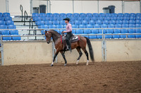 2019 Morgan Horse Show - Aug 30, 2019 - 22689