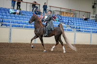 2020 - AB Morgan Horse - Sat, Sept 05 - 06685