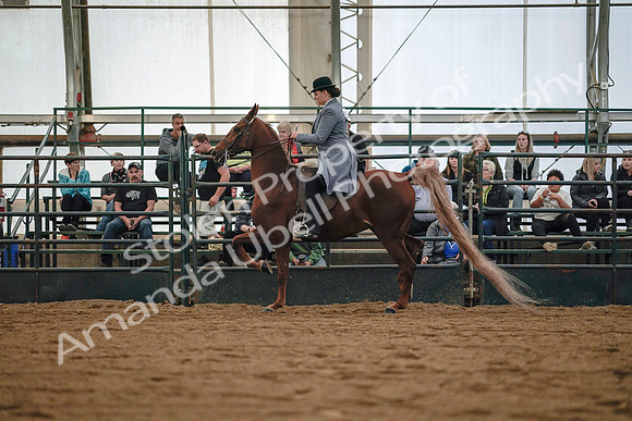 July 20, 2019 - 17032