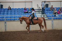 2019 Morgan Horse Show - Aug 30, 2019 - 25879