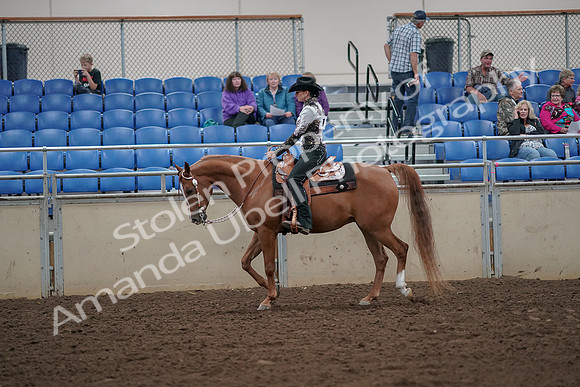 2019 Morgan Horse Show - Aug 30, 2019 - 25879