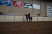 2019 Morgan Horse Show - Aug 30, 2019 - 28279