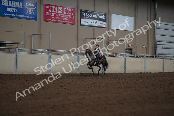 2019 Morgan Horse Show - Aug 30, 2019 - 28279