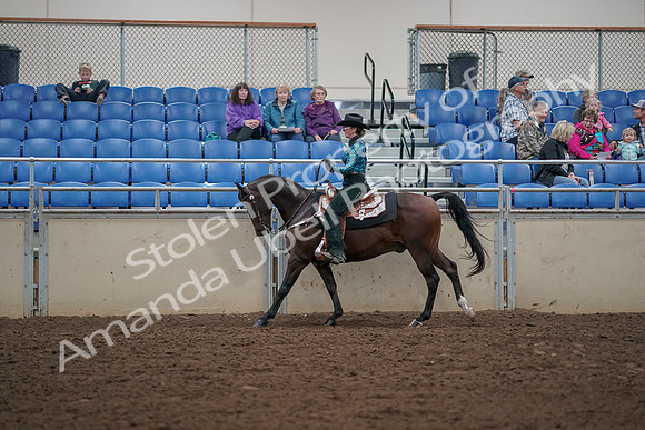 2019 Morgan Horse Show - Aug 30, 2019 - 26067