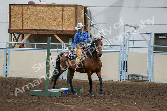 2020 - AB Morgan Horse - Fri, Sept 04 - 00259