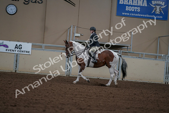 2019 Morgan Horse Show - Aug 30, 2019 - 14903