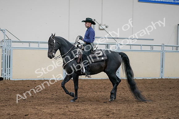 2020 - AB Morgan Horse - Sun, Sept 06 - 07654