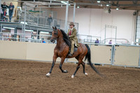 2020 - AB Morgan Horse - Sat, Sept 05 - 05272