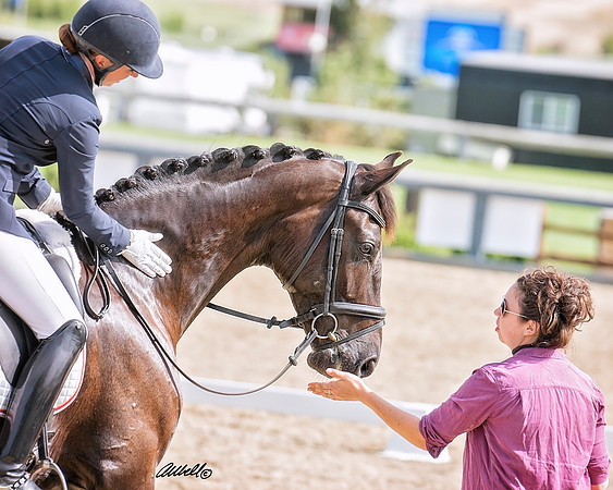 Sample - CA-ADA Dressage Show - June 02 - 00644