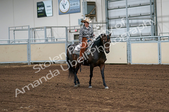 2020 - AB Morgan Horse - Fri, Sept 04 - 00298