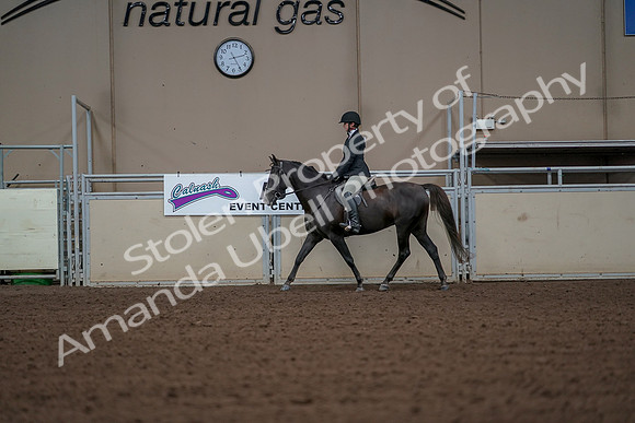 2019 Morgan Horse Show - Aug 30, 2019 - 14938