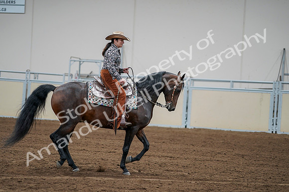 2020 - AB Morgan Horse - Fri, Sept 04 - 00333