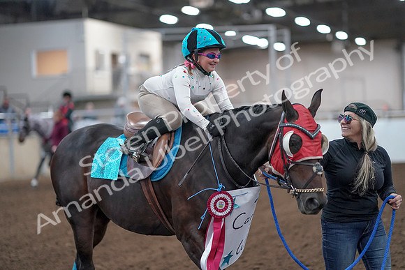2019 Morgan Horse Show - Aug 31, 2019 - 09984