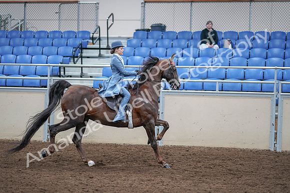 2020 - AB Morgan Horse - Fri, Sept 04 - 05074