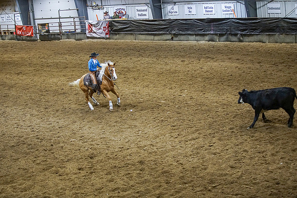 DSC02042