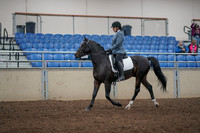 2019 Morgan Horse Show - Aug 31, 2019 - 07155