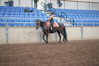 2019 Morgan Horse Show - Sept 01, 2019 - 05721