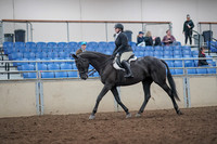 2019 Morgan Horse Show - Aug 31, 2019 - 14636