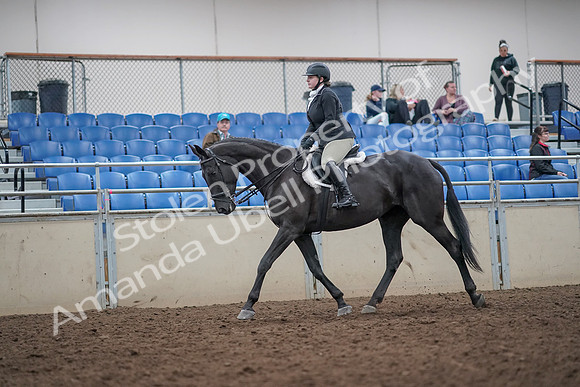 2019 Morgan Horse Show - Aug 31, 2019 - 14636