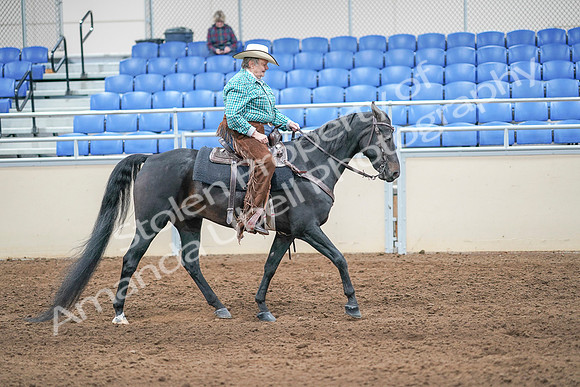 2020 - AB Morgan Horse - Sun, Sept 06 - 01636