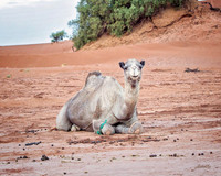 Morocco - 001