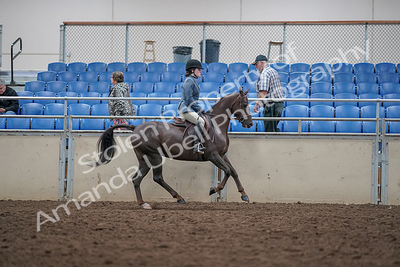 2019 Morgan Horse Show - Aug 31, 2019 - 16775