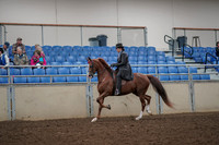 2019 Morgan Horse Show - Aug 30, 2019 - 26482