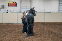 2020 - AB Morgan Horse - Sat, Sept 05 - 00108