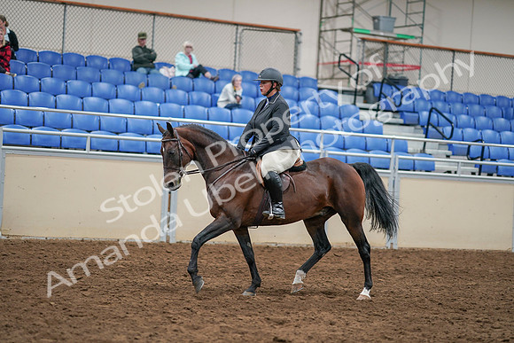 2020 - AB Morgan Horse - Sat, Sept 05 - 14468