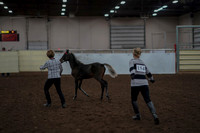 2019 Morgan Horse Show - Aug 31, 2019 - 00059