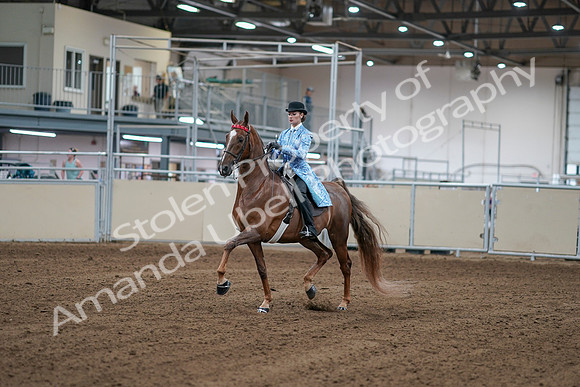 2020 - AB Morgan Horse - Sat, Sept 05 - 06111