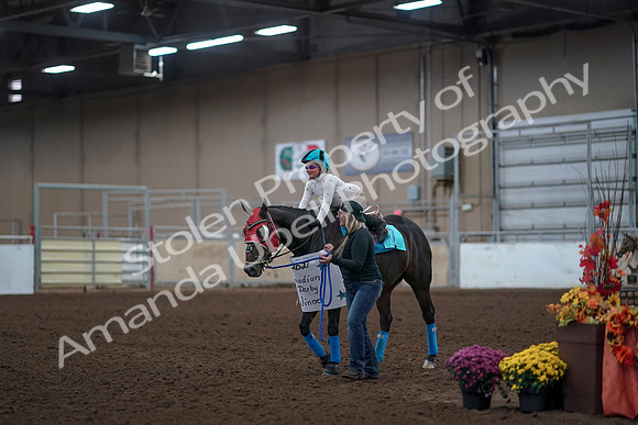 2019 Morgan Horse Show - Aug 31, 2019 - 10088