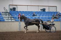 2019 Morgan Horse Show - Aug 31, 2019 - 10255