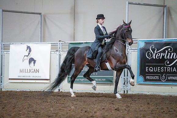 Spring Fling - Saturday - April 20, 2019  -  00518